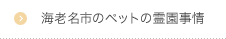 海老名市のペットの霊園事情